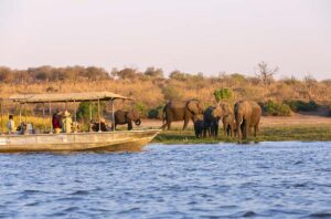 Tourist observe elephants in the edge of Chobe National Park, Botswana, Africa